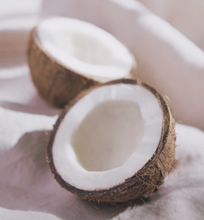 Coconut – Pexels
